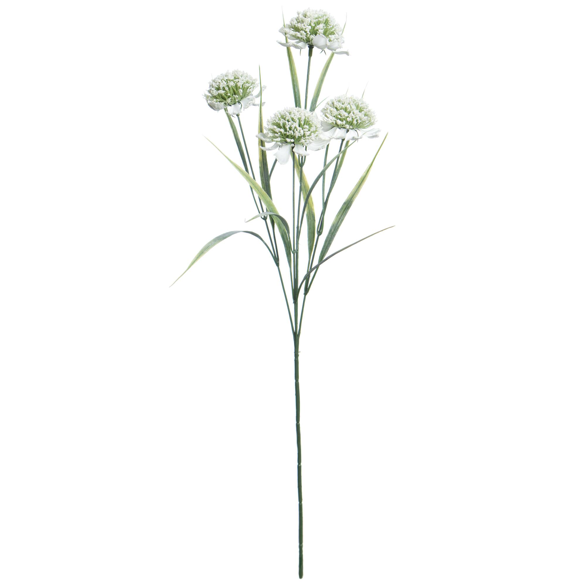 26.5" White & Green Allium Stem by Ashland®